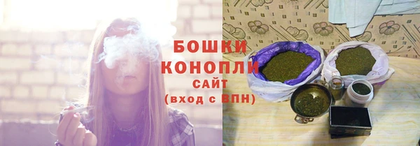 молекула духа Волосово